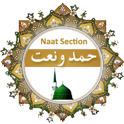 naat_section copy