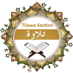 tilawa_section copy